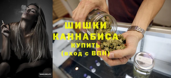 соль ск Заводоуковск