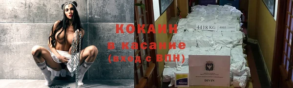 соль ск Заводоуковск
