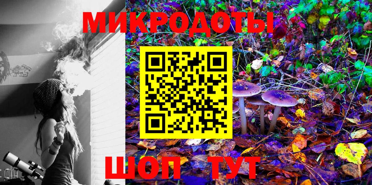 Псилоцибиновые грибы Cubensis Кубинка
